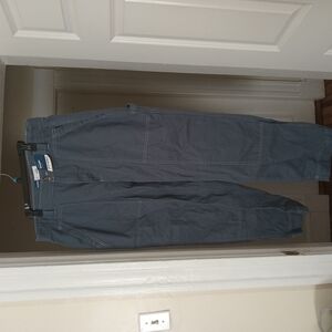 Womens  Blue Carpenter Pants